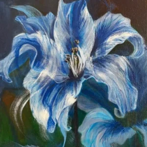 Where Beauty Opens